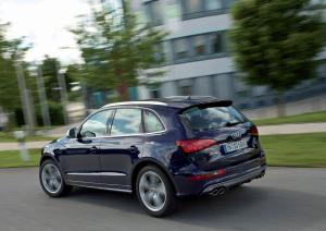 Audi SQ5 TDI 2013 года  (WW)